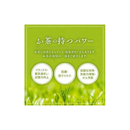 ふるさと納税 【3回定期便】宇治茶ペットボトル 500ml×24本 お茶ペットボトル 京都府の画像