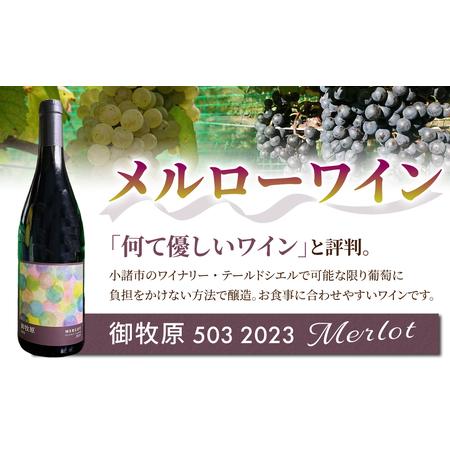 ふるさと納税 【おいしい栽培所】メルローワイン「御牧原503」ロゼワイン「御牧原504」仕かける（各1本）ワインワインワインワインワインワインワイ.. 長野県東御市