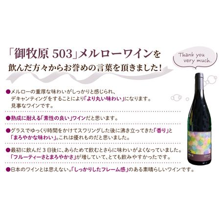 ふるさと納税 【おいしい栽培所】メルローワイン「御牧原503」ロゼワイン「御牧原504」仕かける（各1本）ワインワインワインワインワインワインワイ.. 長野県東御市