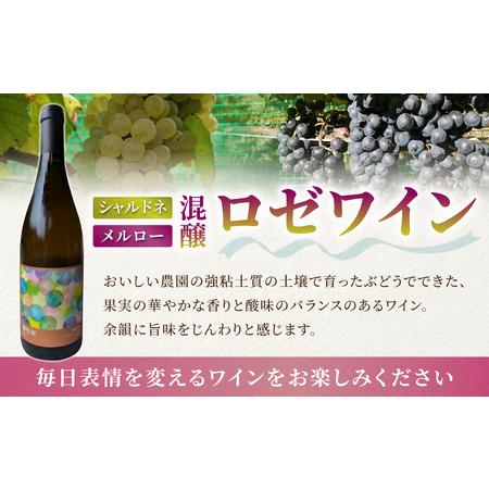 ふるさと納税 【おいしい栽培所】メルローワイン「御牧原503」ロゼワイン「御牧原504」仕かける（各1本）ワインワインワインワインワインワインワイ.. 長野県東御市