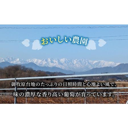 ふるさと納税 【おいしい栽培所】メルローワイン「御牧原503」ロゼワイン「御牧原504」仕かける（各1本）ワインワインワインワインワインワインワイ.. 長野県東御市