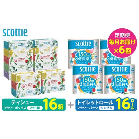 ふるさと納税 [定期便6回][毎月お届け][スコッティ] 組み合わせ ティシュー フラワーボックス 250組 16箱 計96箱 トイレットロール シング.. 熊本県八代市