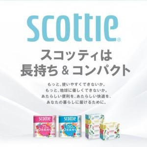 ふるさと納税 【定期便6回】【毎月お届け】【スコッティ】 組み合わせ ティシュー フラワーボックス 250組 8箱 計48箱 トイレットロール ダブル .. 熊本県八代市_1