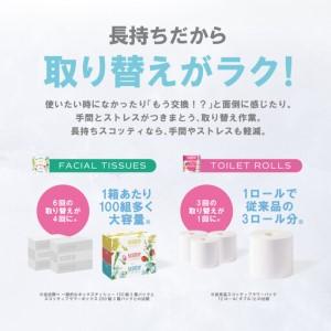 ふるさと納税 【定期便6回】【毎月お届け】【スコッティ】 組み合わせ ティシュー フラワーボックス 250組 8箱 計48箱 トイレットロール ダブル .. 熊本県八代市_2