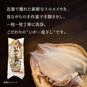 ふるさと納税 マルゲン水産 国産 いか一夜干し 〈2枚入〉×2パック 青森県八戸市 青森県八戸市_1