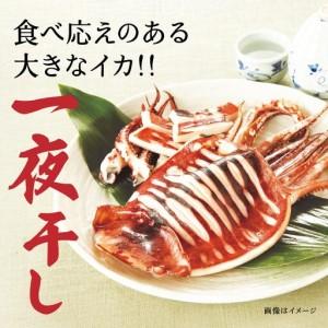ふるさと納税 マルゲン水産 国産 いか一夜干し 〈2枚入〉×2パック 青森県八戸市 青森県八戸市_2