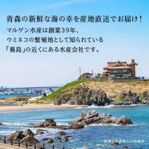 ふるさと納税 マルゲン水産 国産 いか一夜干し 〈2枚入〉×2パック 青森県八戸市 青森県八戸市_4