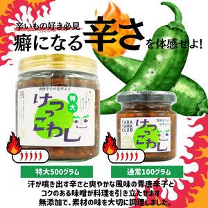 ふるさと納税 激辛国産青唐辛子味噌 「けつっこわし」【100g×4本