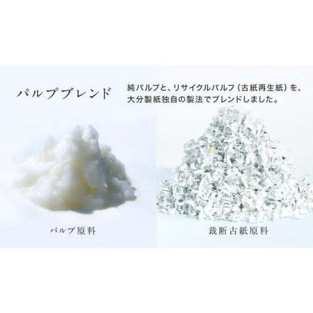 ふるさと納税 【隔月3回定期便】ふんわりやさしい長さ2倍巻き 50ｍダブル 12ロール&times;4パック 計48ロール トイレットペーパー 日用品 日用.. 福岡県北九州市