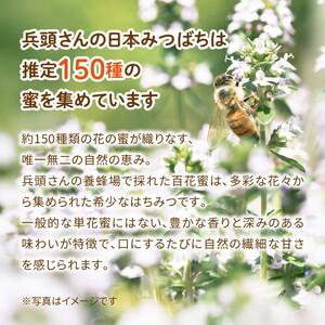 ふるさと納税 兵頭さん家の国産はちみつ 2瓶（計480g 計360cc） ｜ 国産 百花蜜 蜂蜜 ハチミツ 深山ミツバチ 研究25年 日本ミツバチ ※離島への.. 愛媛県鬼北町の画像