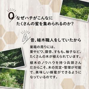ふるさと納税 兵頭さん家の国産はちみつ 2瓶（計480g 計360cc） ｜ 国産 百花蜜 蜂蜜 ハチミツ 深山ミツバチ 研究25年 日本ミツバチ ※離島への.. 愛媛県鬼北町の画像