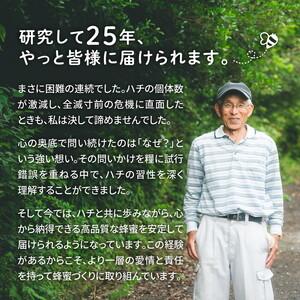 ふるさと納税 兵頭さん家の国産はちみつ 2瓶（計480g 計360cc） ｜ 国産 百花蜜 蜂蜜 ハチミツ 深山ミツバチ 研究25年 日本ミツバチ ※離島への.. 愛媛県鬼北町の画像