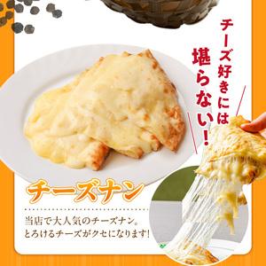 ふるさと納税 【辛口】ビスヌ 本格カレー 10食＋プレーンナン5枚＋チーズナン5枚_ビスヌ 本格 カレー 10食 プレーンナン チーズナン 各 5枚 辛.. 福岡県久留米市の画像