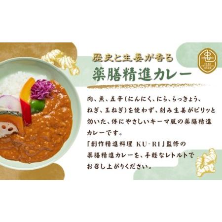 ふるさと納税 歴史と生姜が香る 薬膳精進カレー ５個 大阪府河内長野市_2