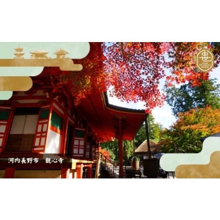 ふるさと納税 歴史と生姜が香る 薬膳精進カレー ５個 大阪府河内長野市_3