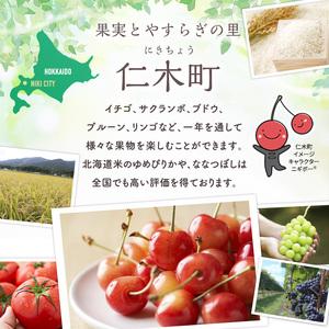ふるさと納税 [先行受付] 北海道 仁木町産 ミニトマト アイコ 800g [林果樹園]【トマト ミニトマト アイコ 高糖度 フルーツトマト 赤 サラダ パ.. 北海道仁木町_4