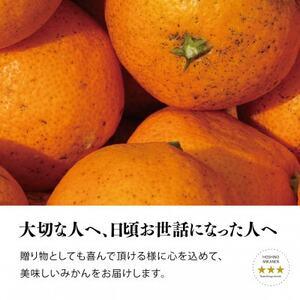 ふるさと納税 【訳あり】星乃みかん園の星乃みかん(5kg)【A45-98】【1650693】 愛媛県八幡浜市 : ふるなび(ふるさと納税 ...