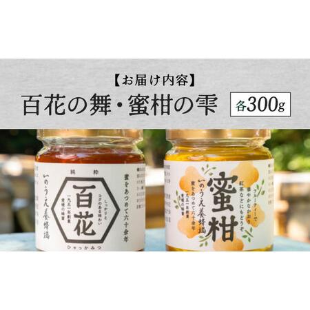 ふるさと納税 瀬戸内の恵み 百花蜜＆蜜柑蜜詰め合わせセット（各300g）／蜂蜜 はちみつ ハチミツ 食品 内子町【いのうえ養蜂場】 [BKCF003] 愛媛県内子町の画像