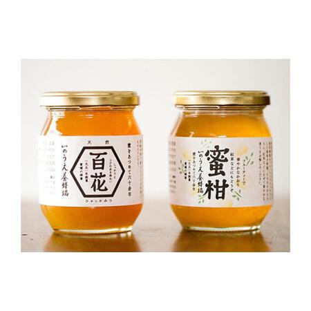 ふるさと納税 瀬戸内の恵み 百花蜜＆蜜柑蜜詰め合わせセット（各300g）／蜂蜜 はちみつ ハチミツ 食品 内子町【いのうえ養蜂場】 [BKCF003] 愛媛県内子町の画像