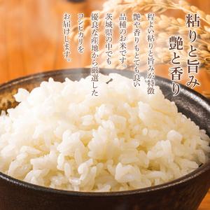米 雑穀 粉類 ふるさと納税 コシヒカリ 5kg 5kg 1袋 令和7年産