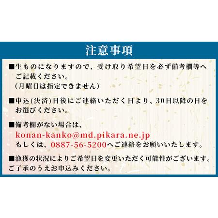 ふるさと納税 【冷蔵】上乾ちりめん 約2kg - 国産 ちりめん しらす シラス 稚魚 魚介 魚 海産物 天日干し 釜茹で ドロメ サラダ 和え物 アレンジ.. 高知県香南市の画像