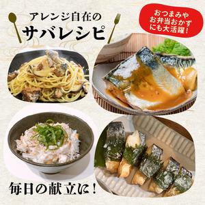 ふるさと納税 サバ フィレ 国産 塩鯖 12枚約1kg 鯖 沼津 さば サバ 静岡県沼津市 |  | 04