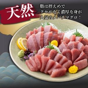 ふるさと納税 【定期便/計6回】生まれながらメバチマグロ 柵・目鉢・サク（480g）【まぐろ】tk166 高知県室戸市