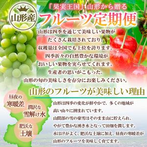 ふるさと納税 【定期便3回】☆フルーツ王国山形☆『紅秀峰、白桃、シャインマスカット』 FZ26-813 山形県山形市の画像