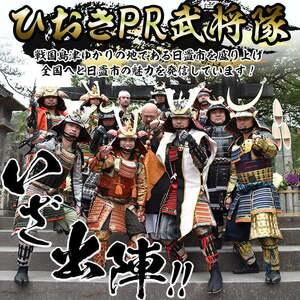 ふるさと納税 No.748-B イメージ創作鎧(島津義弘公)！ひおきPR武将隊着用モデル等身大鎧＜B＞大鎧 鎧兜 兜 鎧 かぶと 国産【剣画堂】 鹿児島県日置市の画像