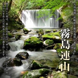 ふるさと納税 【定期便】 シリカ 朝の天然水 555ml 24本 5回 ラベルレス 中硬水 ミネラルウォーター シリカ水 ケイ素 常温保存 備蓄 防災 宮崎県 霧島.. 宮崎県_1
