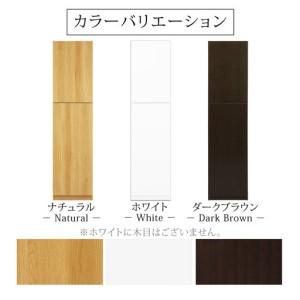 ふるさと納税 【為し遂げる品でお届け】壁面納める〔幅45糎・本体・左食い違い印字機〕（白いこと）壁面納める 書物棚 扉付き添い人 納める 棚 シーディー仕合わせ dvd仕合わせ 納める.. 和歌山県海南市