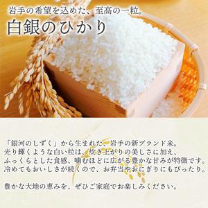 ふるさと納税 【令和7年産】 岩手141号 （ 白銀のひかり ） 精米 5kg