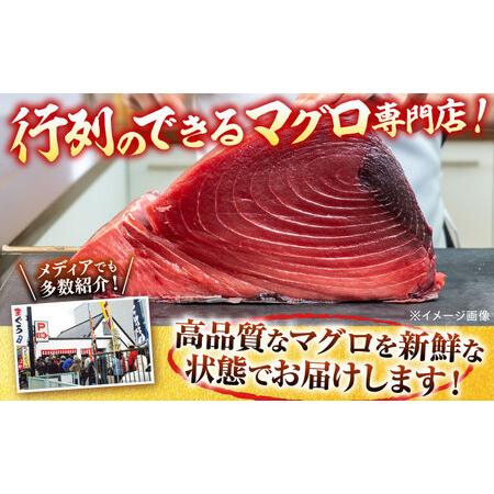 ふるさと納税 天然 本まぐろ 赤身 計約1.6kg （8柵入り）【横須賀商工会議所 おもてなしギフト事務局（本まぐろ直売所 横須賀本店）】[AKAK0.. 神奈川県横須賀市の画像