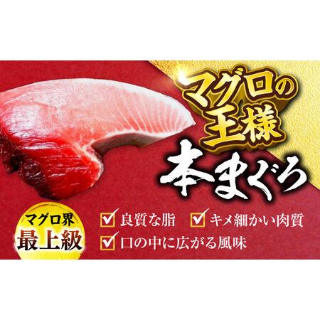 ふるさと納税 天然 本まぐろ大トロ＆中トロ 各2柵（計約900g）  【横須賀商工会議所 おもてなしギフト事務局（本まぐろ直売所 横須賀本店）.. 神奈川県横須賀市の画像