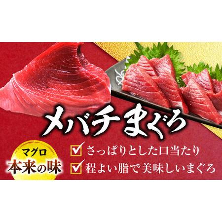 ふるさと納税 天然 まぐろ 中トロ＆赤身 各4柵（計約1.6kg）  【横須賀商工会議所 おもてなしギフト事務局（本まぐろ直売所 横須賀本店）】[.. 神奈川県横須賀市の画像