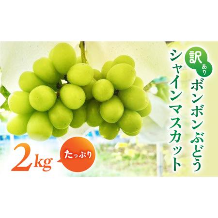 ふるさと納税 先行受付2026年発送【信州東御ぶどう園】訳アリボンボン