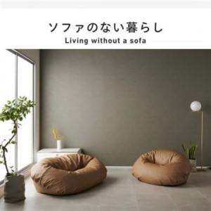 ふるさと納税 【ハナロロ】バルーンソファ 2P レザーカバーセット(ブラック)【1645261】 愛知県岡崎市_1