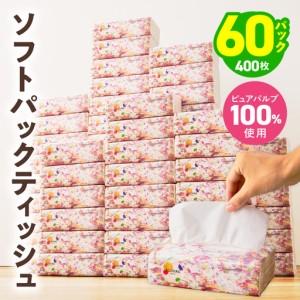 ふるさと納税 ソフトパックティッシュ 60パック×400枚 大阪府泉佐野市