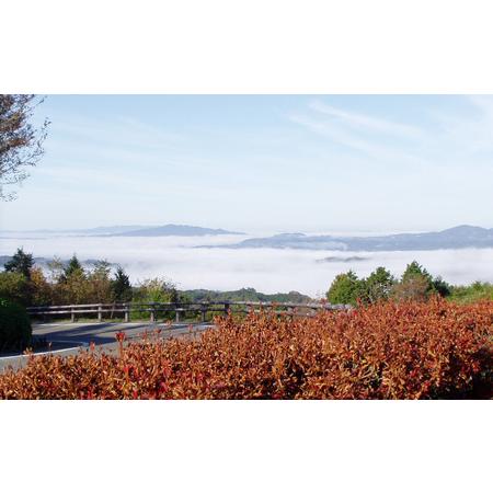 ふるさと納税 赤磐市 吉井竜天オートキャンプ場（ コテージ 利用券 ） キャンプ アウトドア 旅行 キャンプ場 岡山県赤磐市  KU2218185495(22000円)