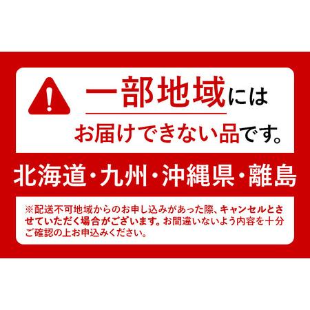 ふるさと納税 《定期便3ヶ月》お〜いお茶 濃い茶 伊藤園 ＜1L×12本＞【1ケース】 群馬県明和町の画像