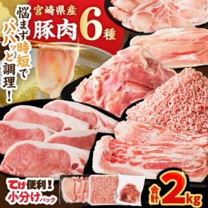 ふるさと納税 ≪宮崎県産≫豚肉6種＼てげスゲーセット/合計2kg 肉 豚 豚肉 おかず 国産_T009-0306 宮崎県都農町