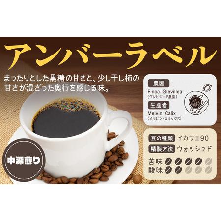 ふるさと納税 《定期便7ヶ月》コーヒー豆 自家焙煎 ホンジュラス スペシャルティコーヒー 焙煎豆 200g×1パック 中挽き【アンバー】 埼玉県滑川町