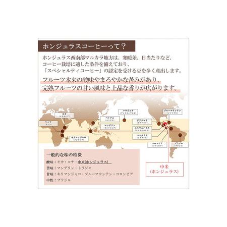 ふるさと納税 《定期便7ヶ月》コーヒー豆 自家焙煎 ホンジュラス スペシャルティコーヒー 焙煎豆 200g×1パック 中挽き【アンバー】 埼玉県滑川町