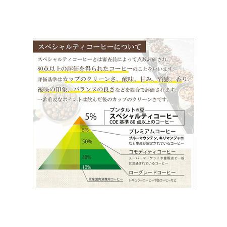 ふるさと納税 《定期便7ヶ月》コーヒー豆 自家焙煎 ホンジュラス スペシャルティコーヒー 焙煎豆 200g×1パック 中挽き【アンバー】 埼玉県滑川町