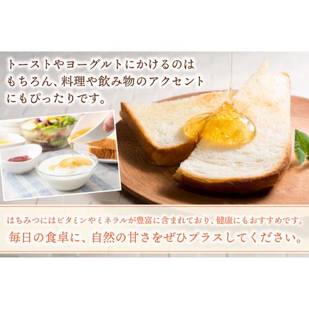 ふるさと納税 国産純粋はちみつ アカシア 百花蜜 各300g (ES001)はちみつ 岩手県紫波町の画像