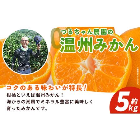 ふるさと納税 【予約受付】＜西予の美味しい柑橘セレクト（ご家庭用