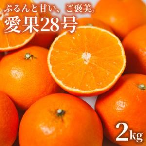 ふるさと納税 【紅まどんなと同品種】あいか 2kg まどんな【SSK019
