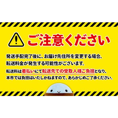 ふるさと納税 C3-3101／極上 かけじょうゆ（1L×6本） 鹿児島県垂水市の画像