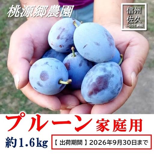 ふるさと納税 [2026年9月発送]信州佐久市産 プルーン 約1.6kg (家庭用)(北海道・沖縄・離島は配送不可)フルーツ プルーン 品種 おまかせ .. 長野県佐久市