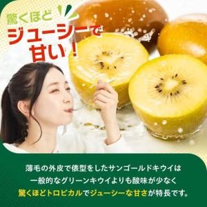 ふるさと納税 【先行予約】2026年度発送 三重県玉城町産 ゼスプリ サンゴールドキウイ 約1kg(贈答用) 三重県玉城町_1